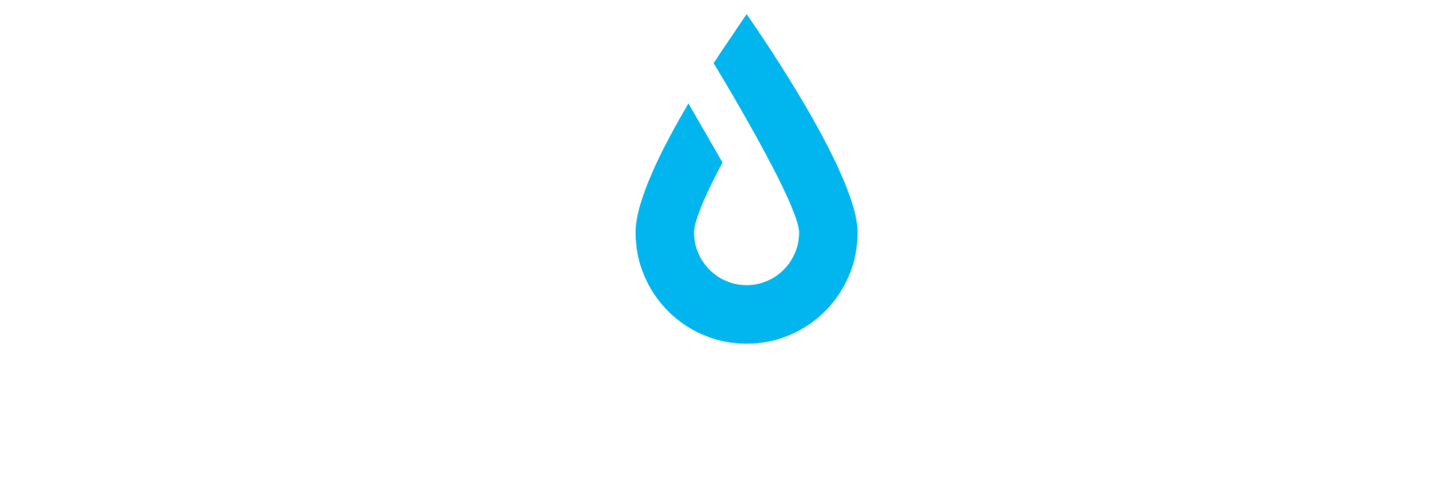 Drytec logo invert rajattu